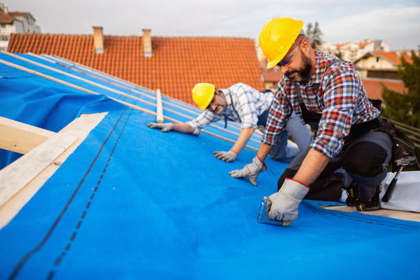 Best Roof Gutter Cleaning  in Garland, TX
